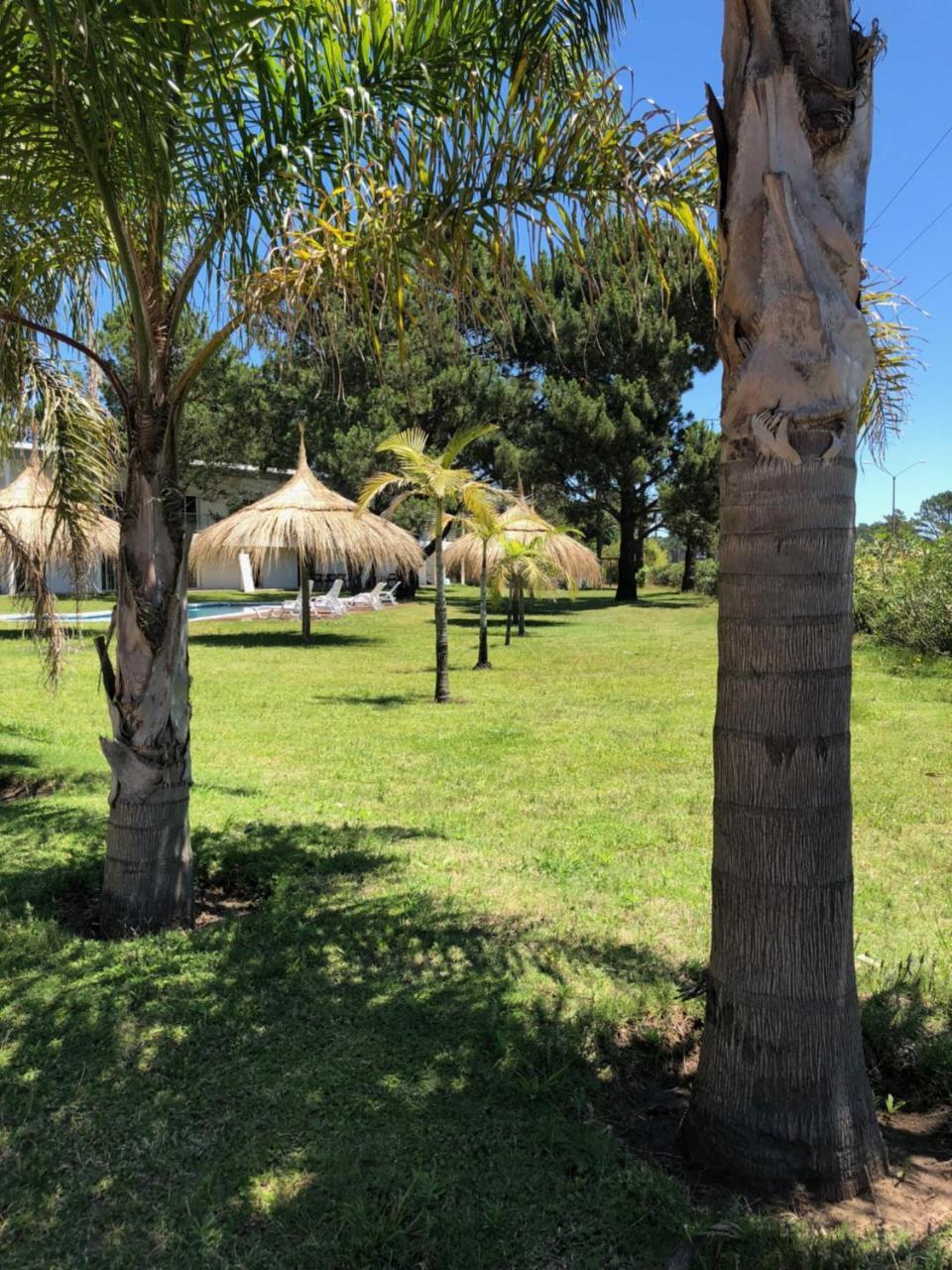 Arenas Del Sol Hotell Punta del Este Exteriör bild